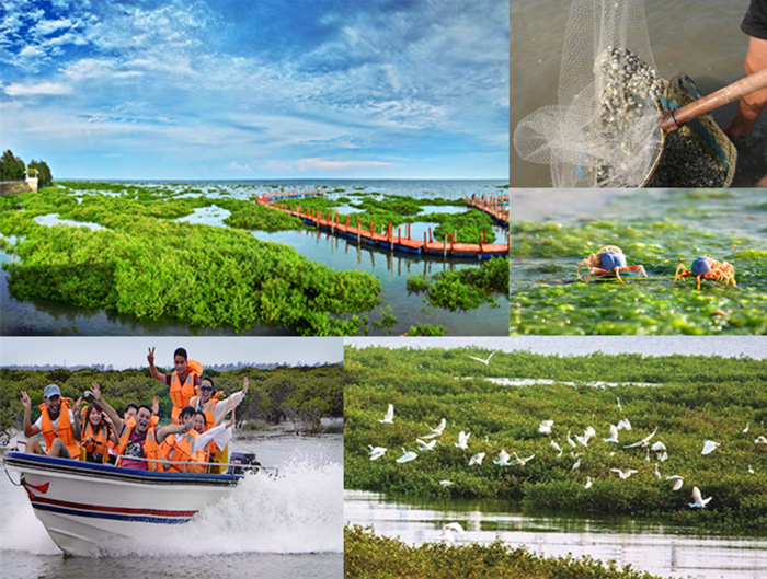 �V�����������������������M(f��i)��