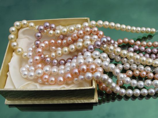 �V�����������������������M(f��i)��